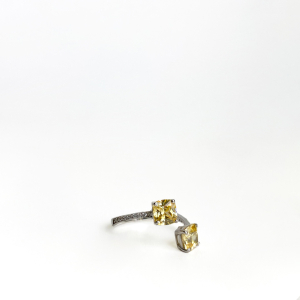 Çift taşlı sarı yüzük